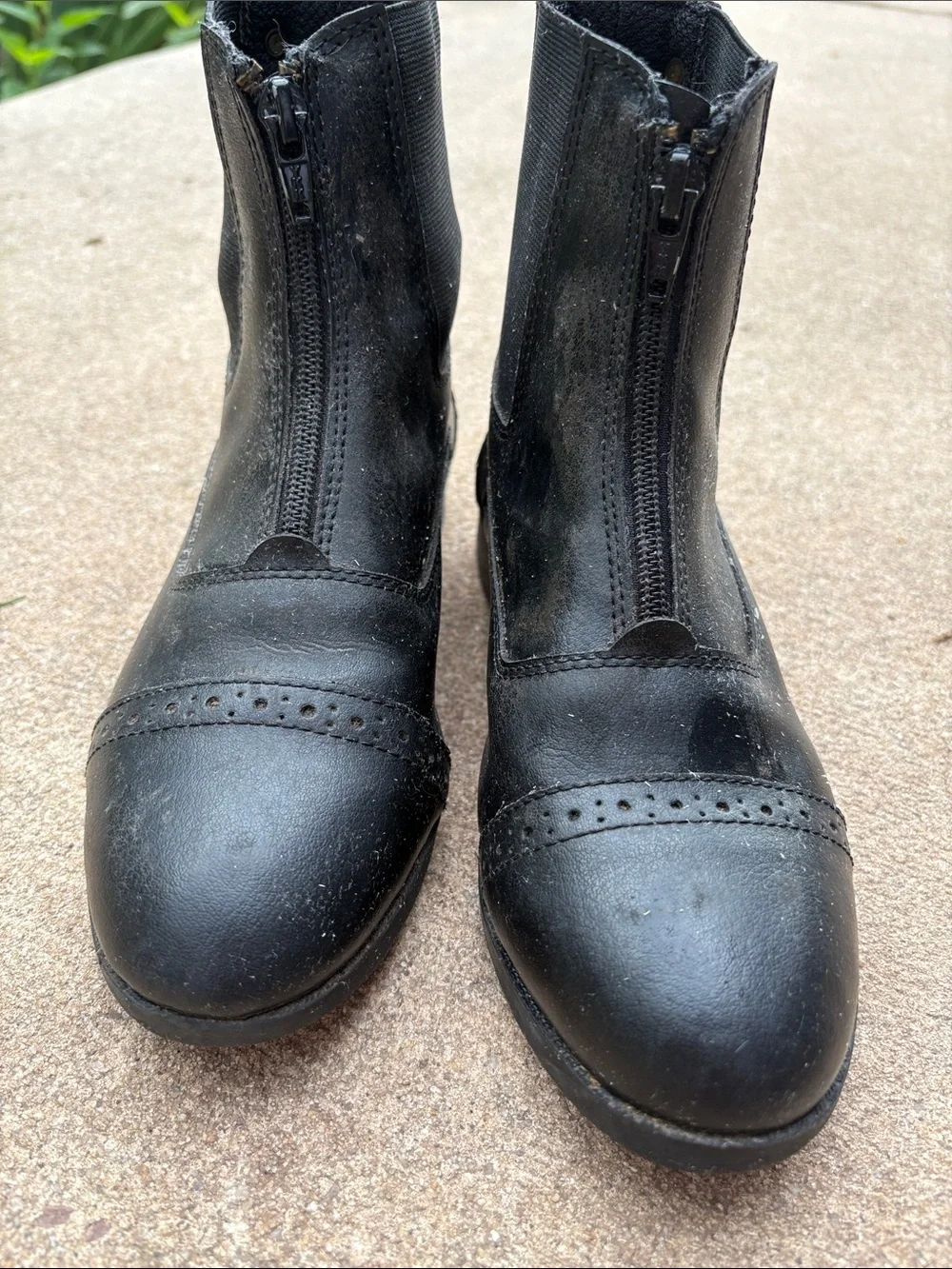 Equistar Kids’ All Weather Synthetic Zip Paddock Boot